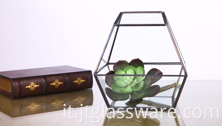 Glass Terrarium Geometric